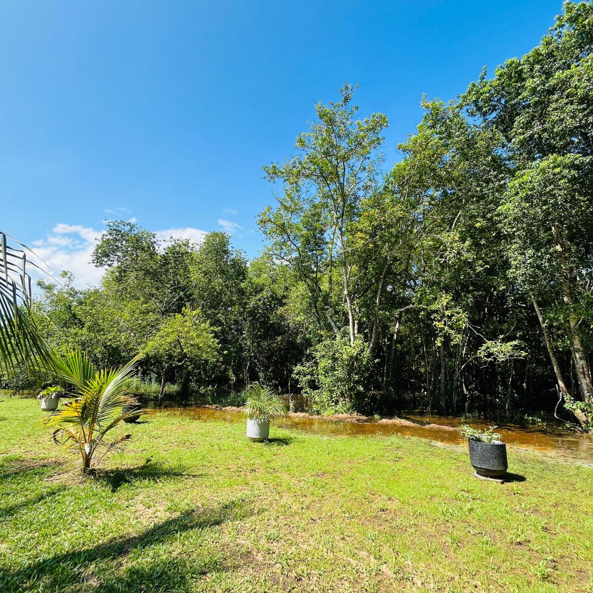 Hanguk Lanka Lagoon Villa 坦加拉 外观 照片