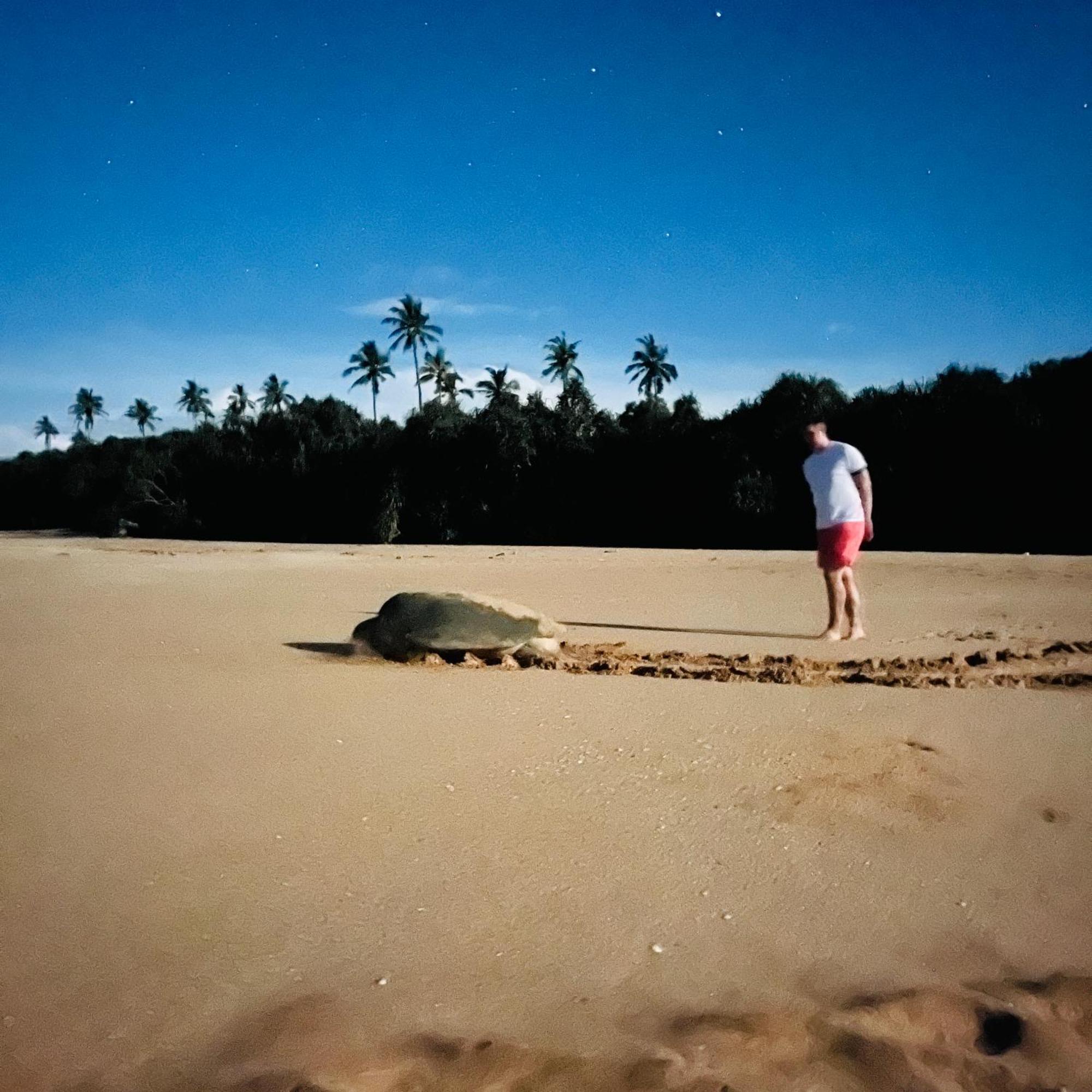 Hanguk Lanka Lagoon Villa 坦加拉 外观 照片