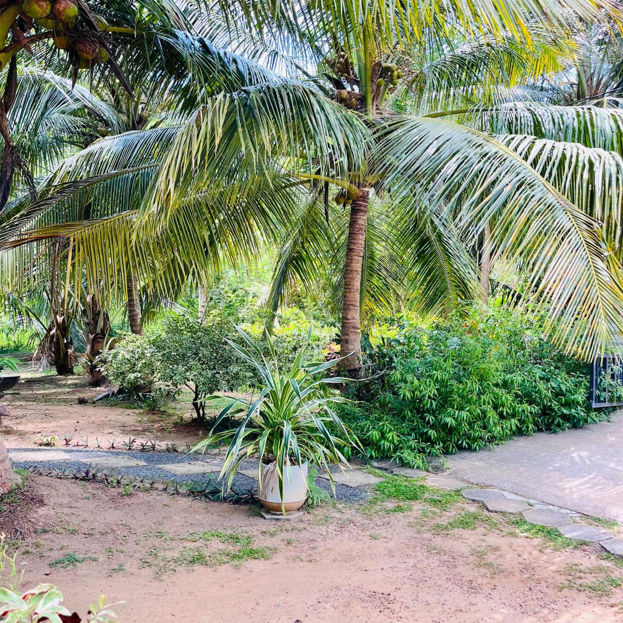 Hanguk Lanka Lagoon Villa 坦加拉 外观 照片