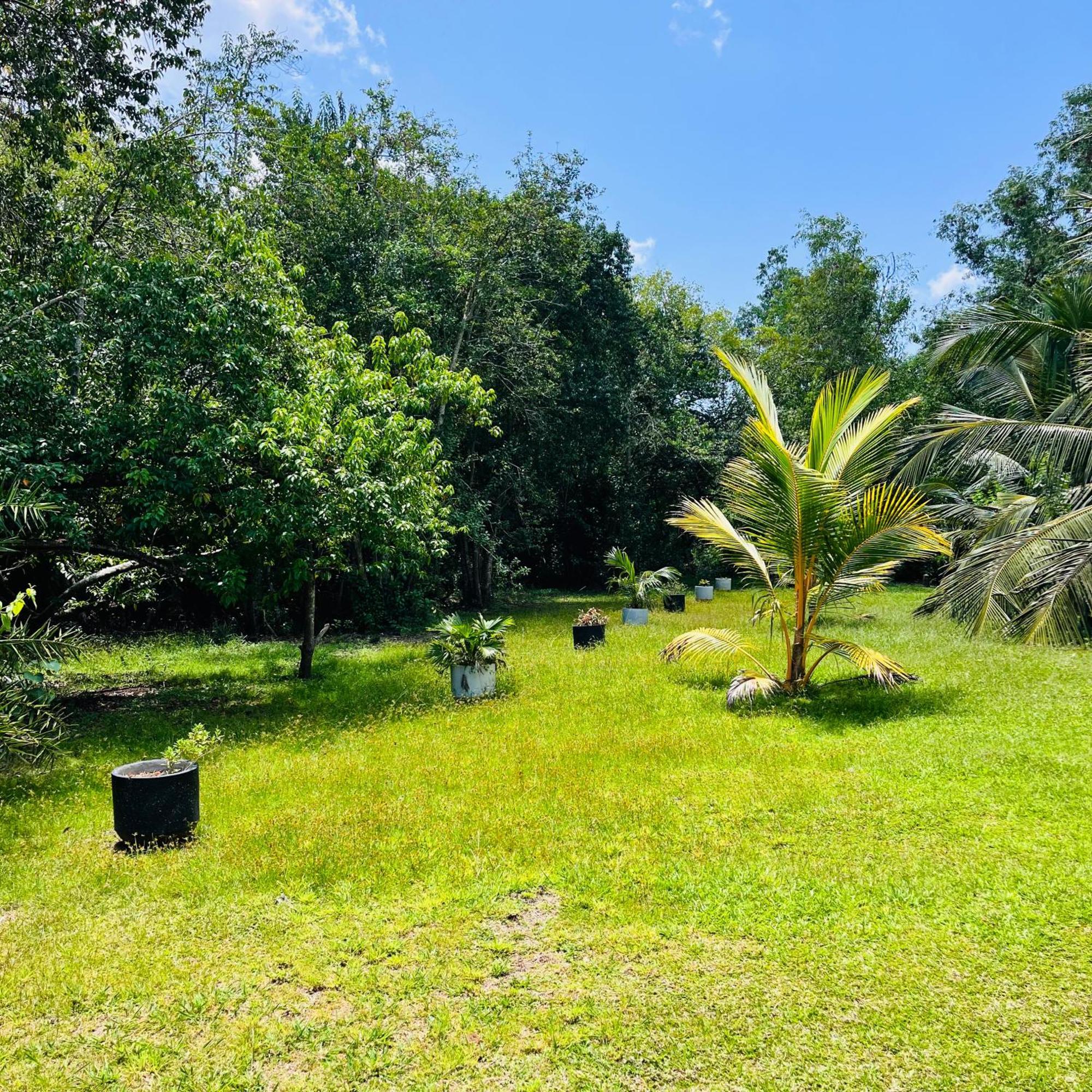 Hanguk Lanka Lagoon Villa 坦加拉 外观 照片