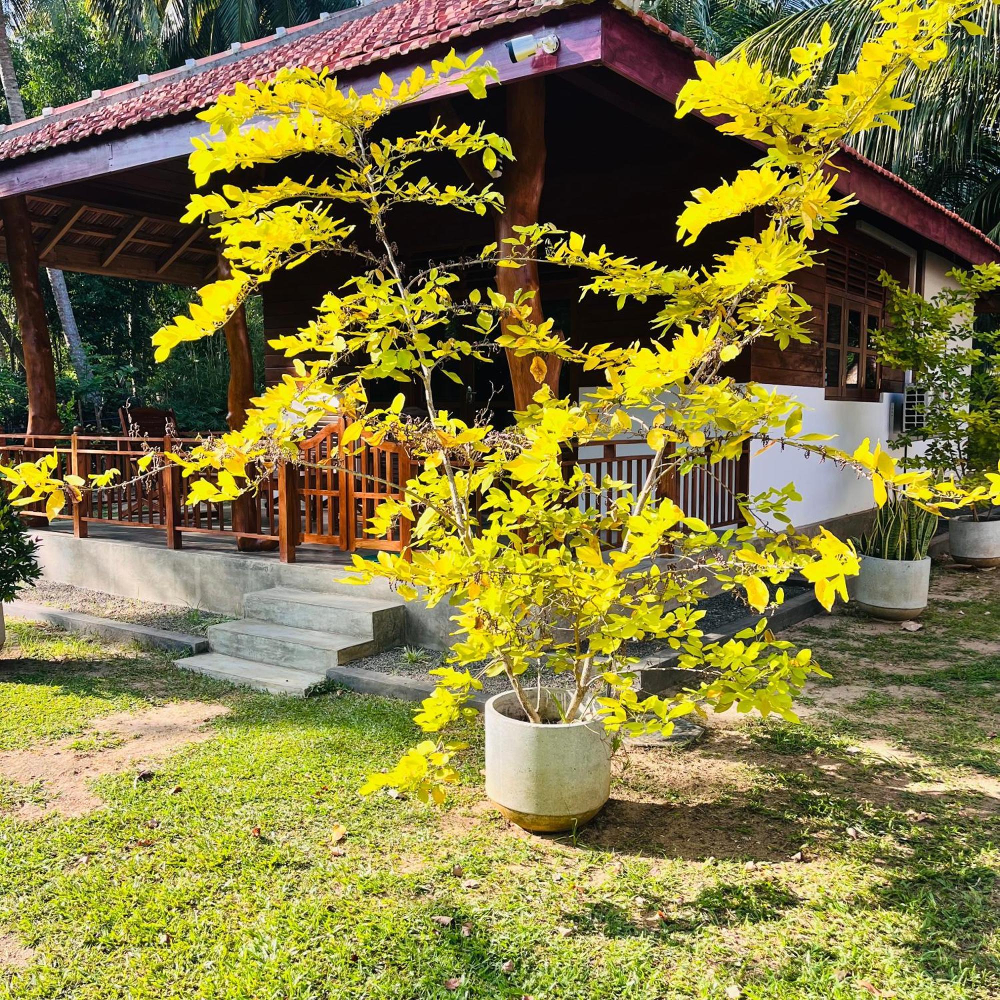 Hanguk Lanka Lagoon Villa 坦加拉 外观 照片
